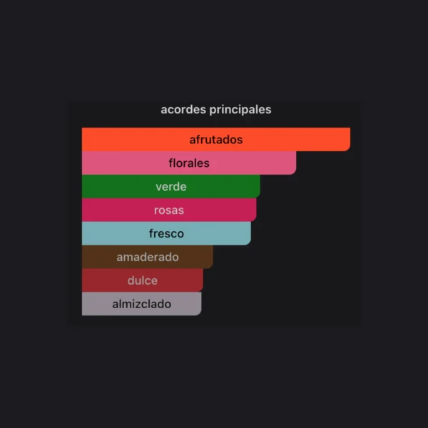 Plantilla perfumes (30) Dylan Blue 100ml EDP - Versace