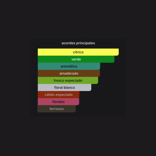 Shooting Stars Nio 50ml EDP - Xerjoff