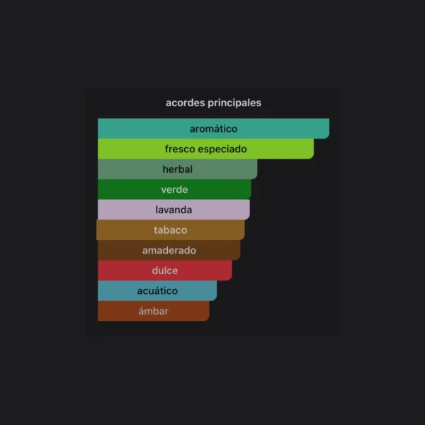 Intenso Pour Homme 200ml EDP - Dolce & Gabbana